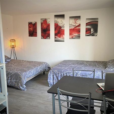 Studio Double 11 Avec Wifi Лимож Екстериор снимка